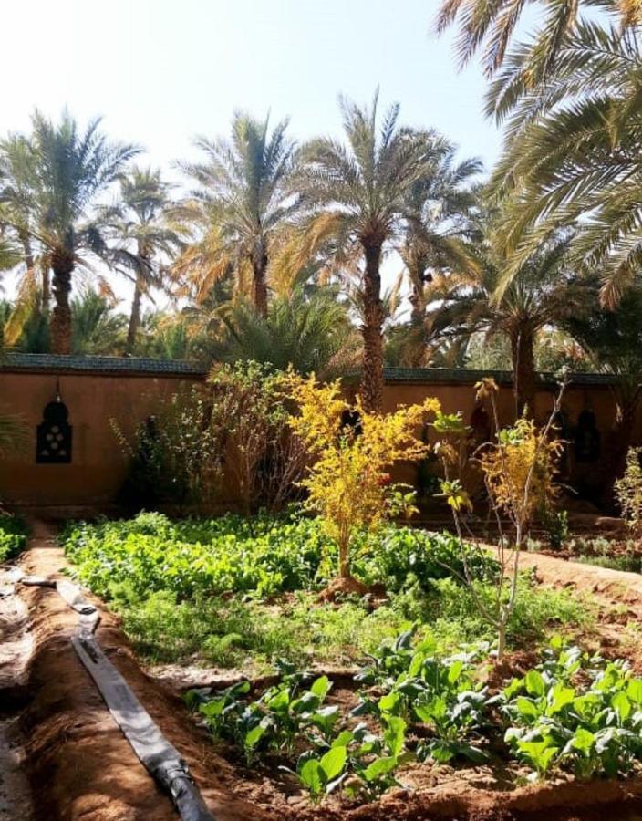 Riad Dar Sofian 자고라 외부 사진