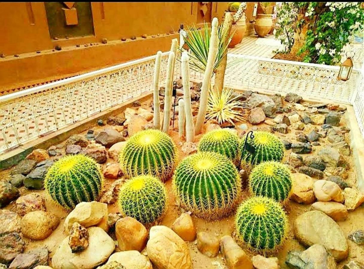 Riad Dar Sofian 자고라 외부 사진