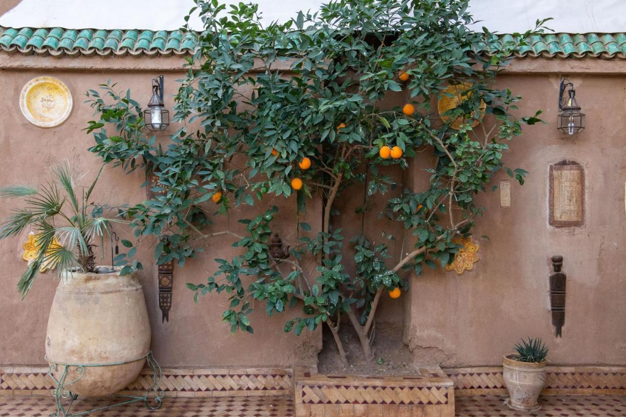 Riad Dar Sofian 자고라 외부 사진